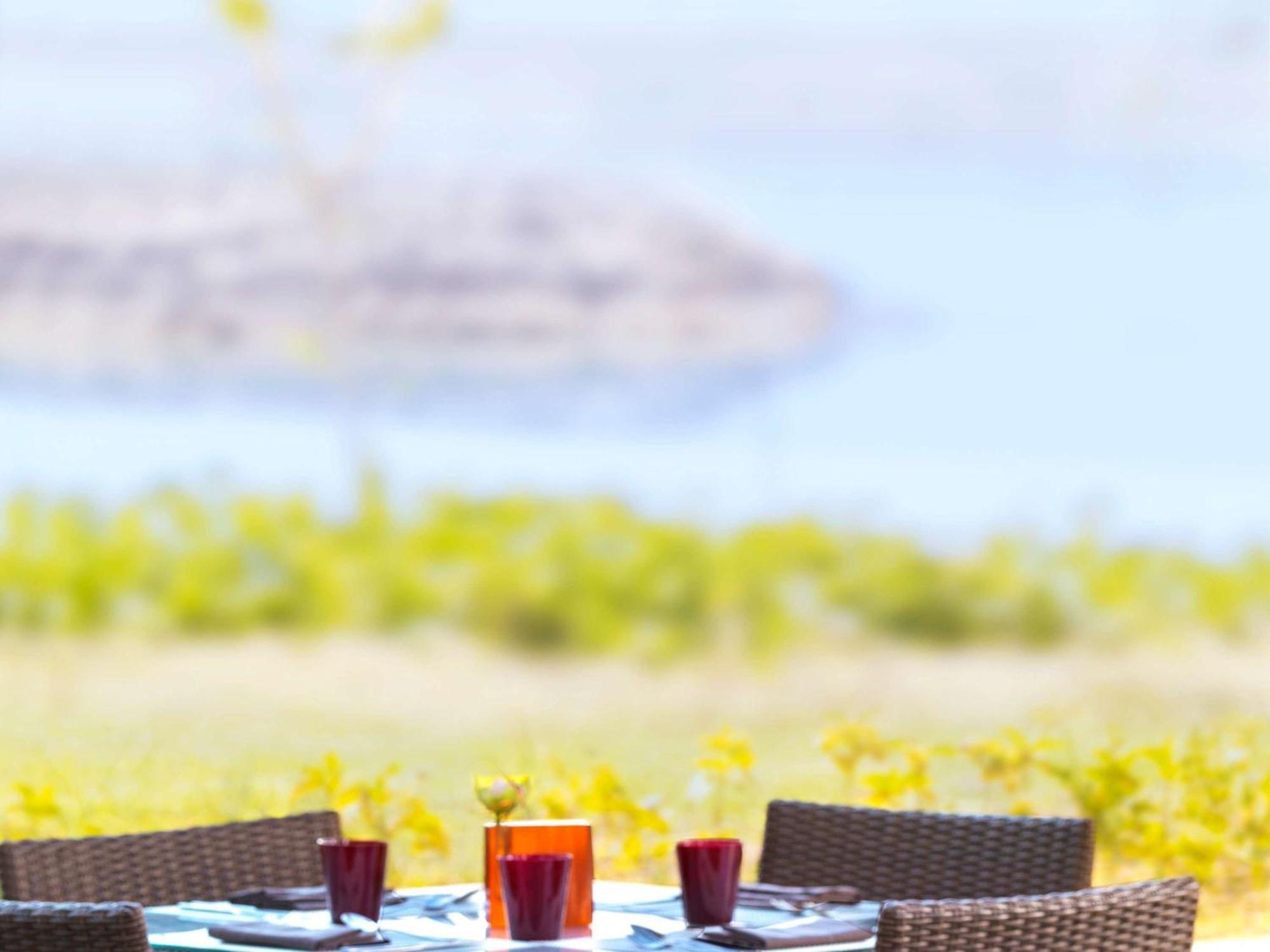 ホテル フェアモント バーブ アル バハール アブダビ エクステリア 写真 A view of the vineyards